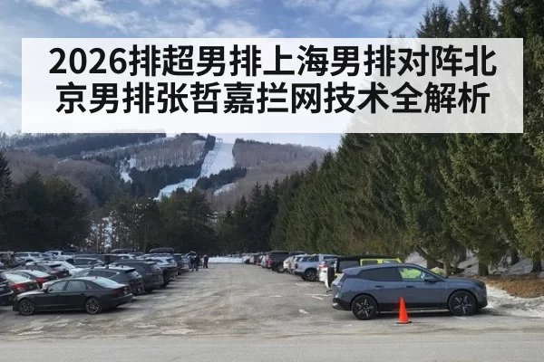 2026排超男排上海男排对阵北京男排张哲嘉拦网技术全解析